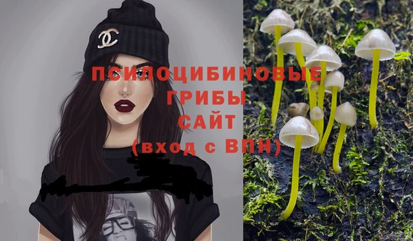 ешки Алзамай