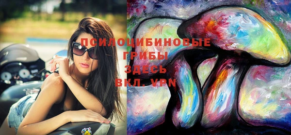 ешки Алзамай