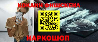 крисы Пенза