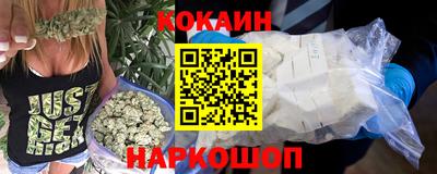 крисы Пенза