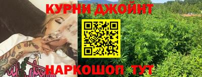 крисы Пенза