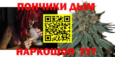 крисы Пенза