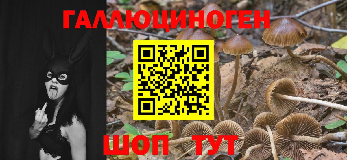 Галлюциногенные грибы GOLDEN TEACHER Шуя