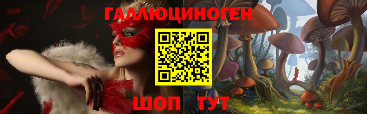 Шуя  где купить наркоту  Вход с VPN  Галлюциногенные грибы Cubensis 